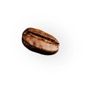 demo-attachment-41-coffee-beans-P4MXYZD7@2x