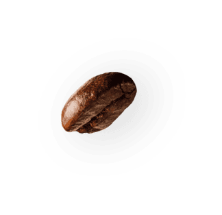 demo-attachment-36-coffee-beans-P4MXYZD@2x